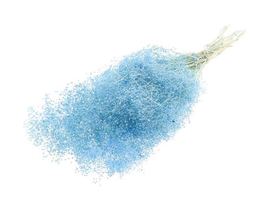 Bunch Gypsophila Pres. 100g L40/50