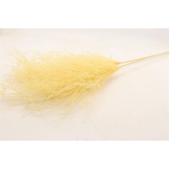 <h4>Bunch Grass  5 Pcs Slv L110</h4>