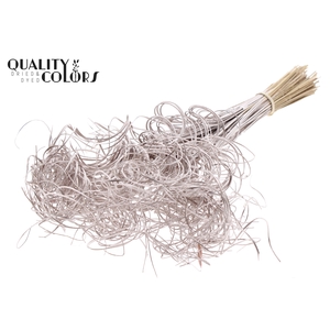 Palm Curly TT 3pc/tuft - 33 tuft/bunch Champagne