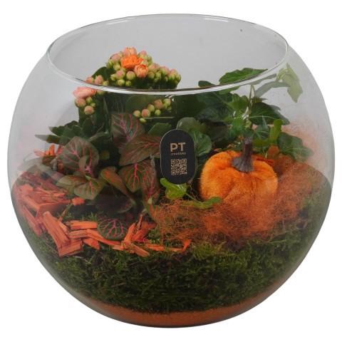 <h4>PTHG8216 Arrangement Autumn Glass in glazen vissenkom</h4>