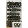 Pel Gr Ov Mixk 1 Kleur Per Tray