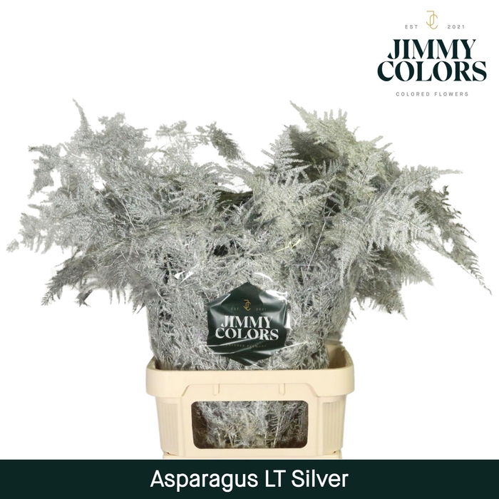 <h4>Aspa lang getopt Silver + glitter</h4>