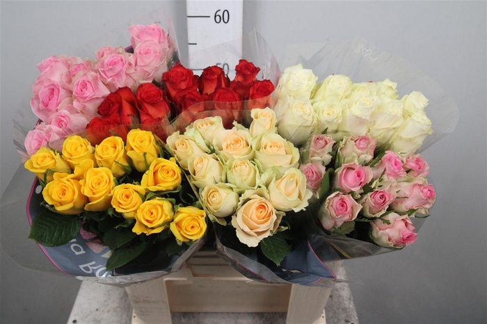 <h4>R Gr Gemengd In Fust</h4>