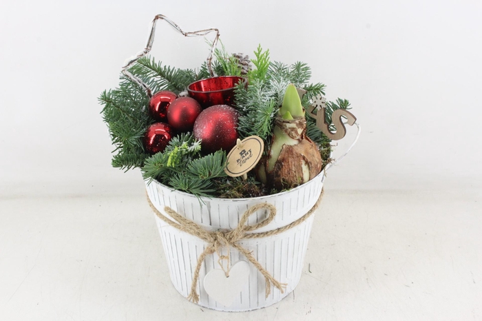 <h4>arr4 Amaryllis PL - Zink emmer L 1wax RED</h4>