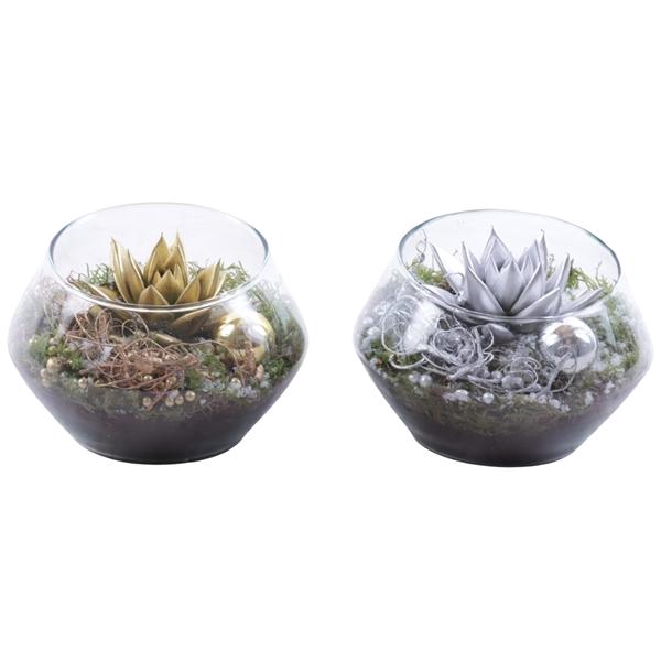 <h4>Christmas Arr. Succulent Glass Oblique UFO Vase Ø15cm 1PP</h4>