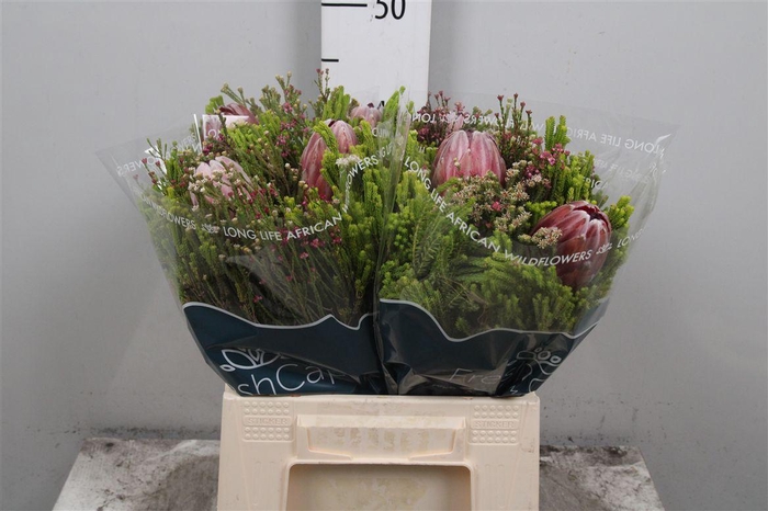 <h4>Kaaps Groen Bq (+2 Protea)</h4>