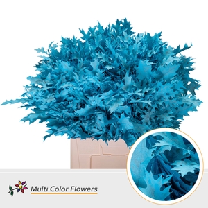 Eik Fijn (60 cm) Frost Blauw licht