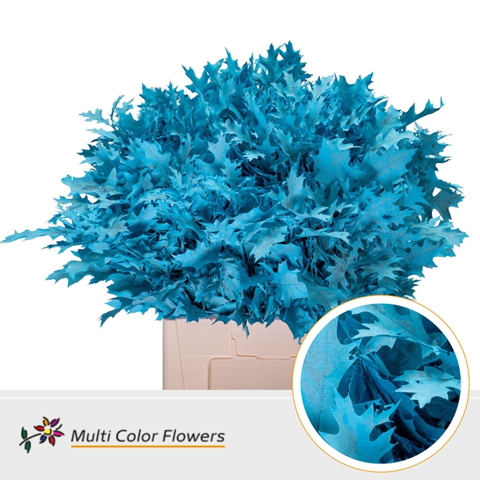 <h4>Eik Fijn (60 cm) Frost Blauw licht</h4>