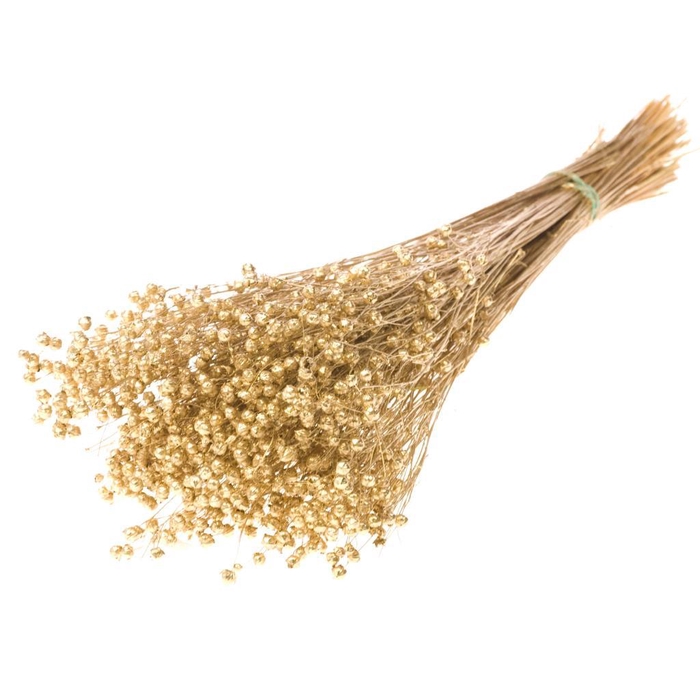 <h4>Linum Gold</h4>