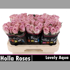 R GR LOVELY AQUA!
