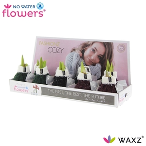 Hipp Waxz Fashionz Cozy Wooly