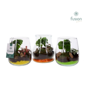 Glas mix met arrangement 2pp