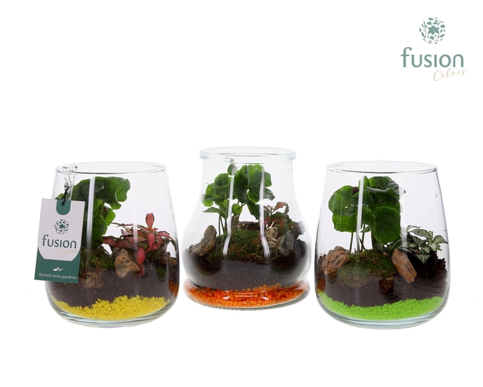 <h4>Glas mix met arrangement</h4>