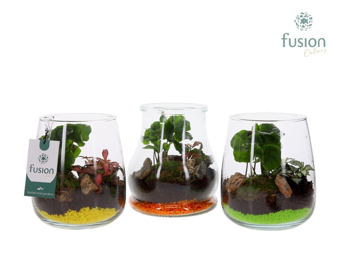 <h4>Glas mix met arrangement</h4>