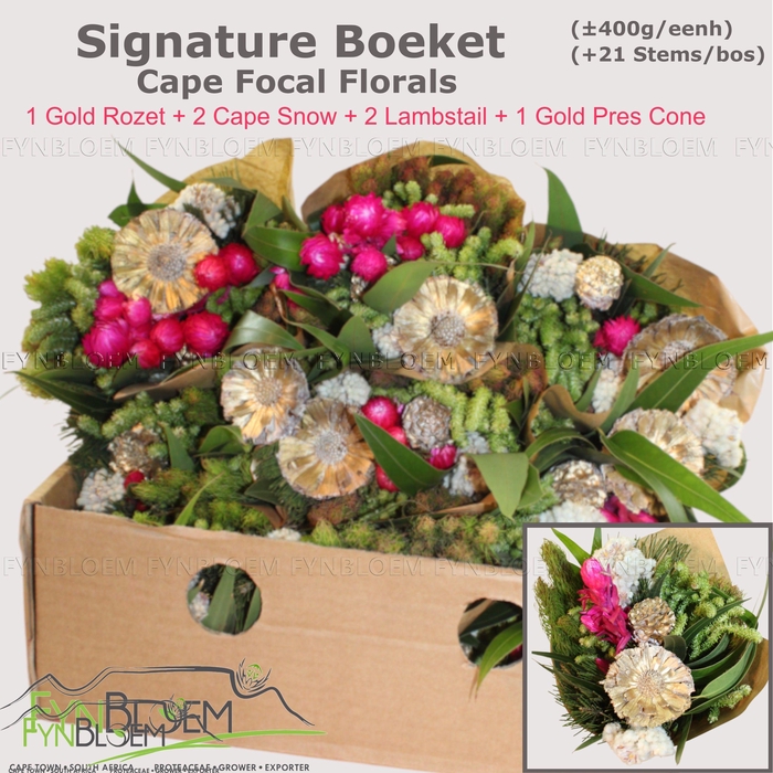 <h4>KAAPS GROE GEM IN BS</h4>