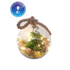 Arr.   Kamerplant Groen L%