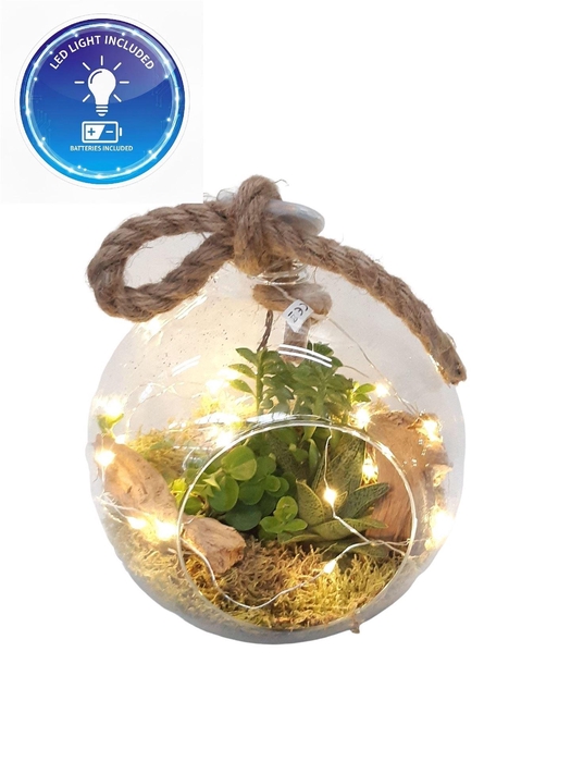 <h4>Arr.   Kamerplant Groen L%</h4>