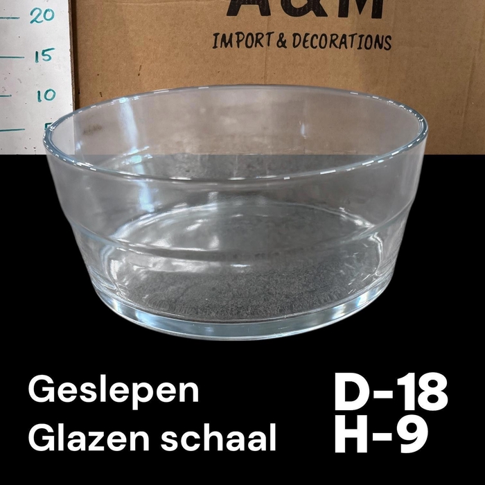 <h4>GLAZEN SCHAAL 8/73</h4>