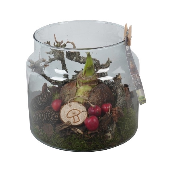 <h4>PTAA7592 Arrangement Amaryllis in glazen vaas</h4>