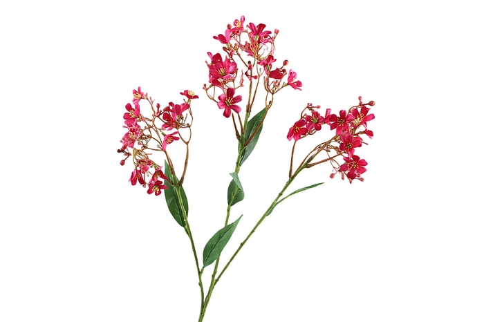 <h4>Flower Branch Pink Dark</h4>
