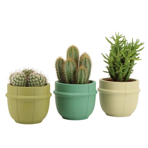 7501375: Solutionss Consideration