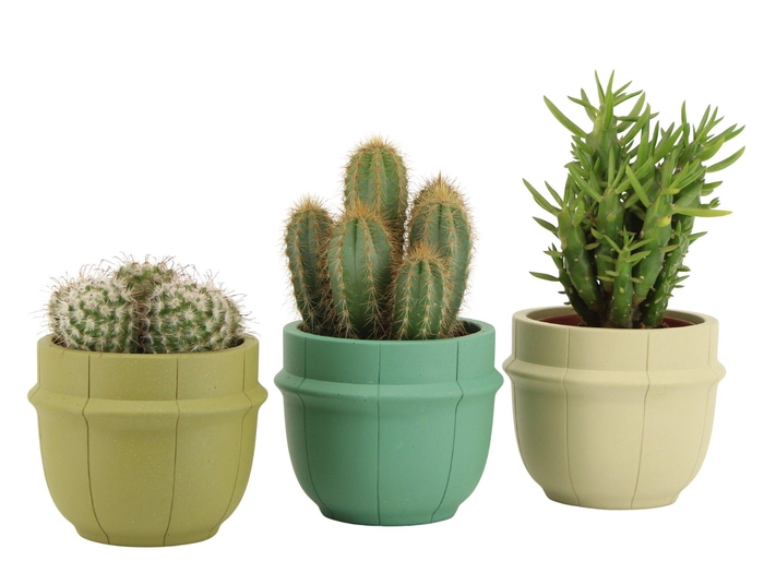 <h4>7501375: Solutionss Consideration</h4>