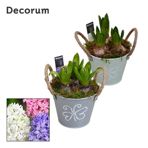 Hyacint Bucket Maxi HL10640 [LOVELY COLORS]