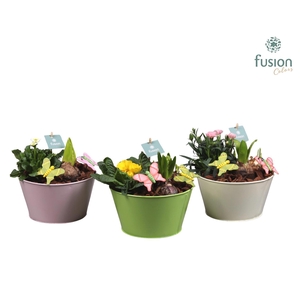 Zinken schaal met arrangement voorjaar