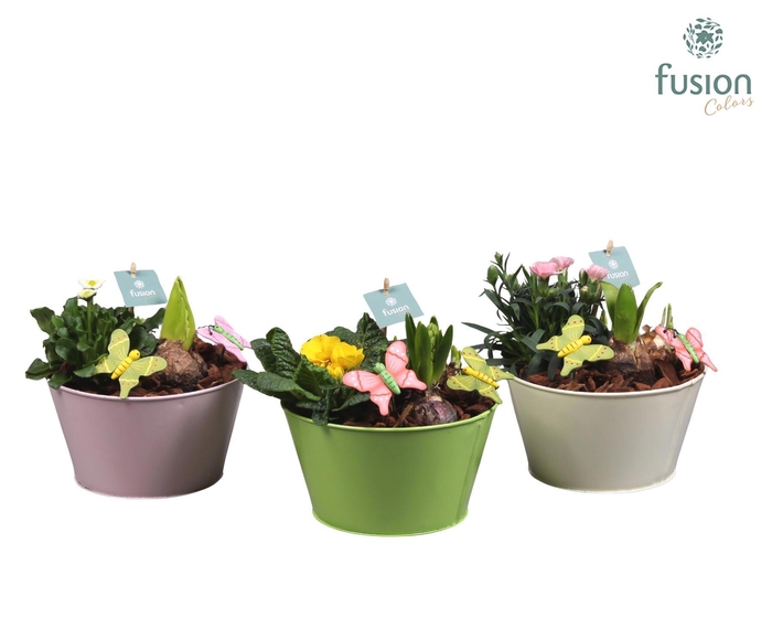 <h4>Zinken schaal met arrangement voorjaar</h4>