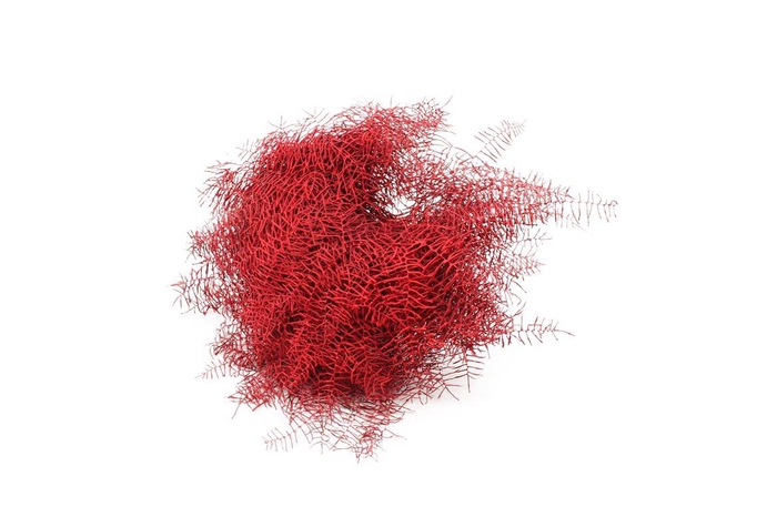 <h4>Koraalvaren Geverfd Rood</h4>