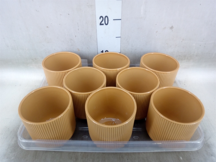 <h4>Pot   ...Keramische H%</h4>
