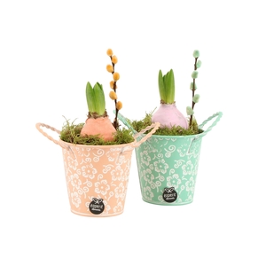 11642: Outdoor spring arrangement