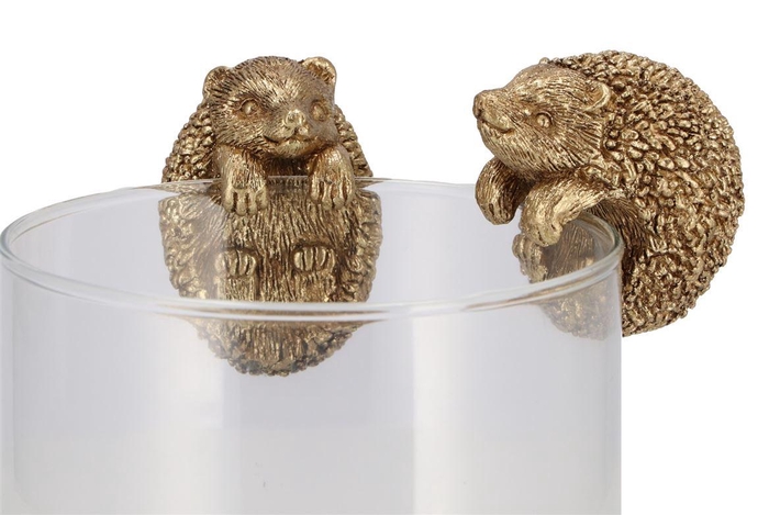 <h4>Deco Hanging Hedgehogs Gold 6x5x7cm</h4>