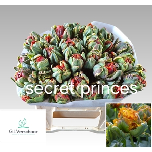 TU PA SECRET PRINCESS