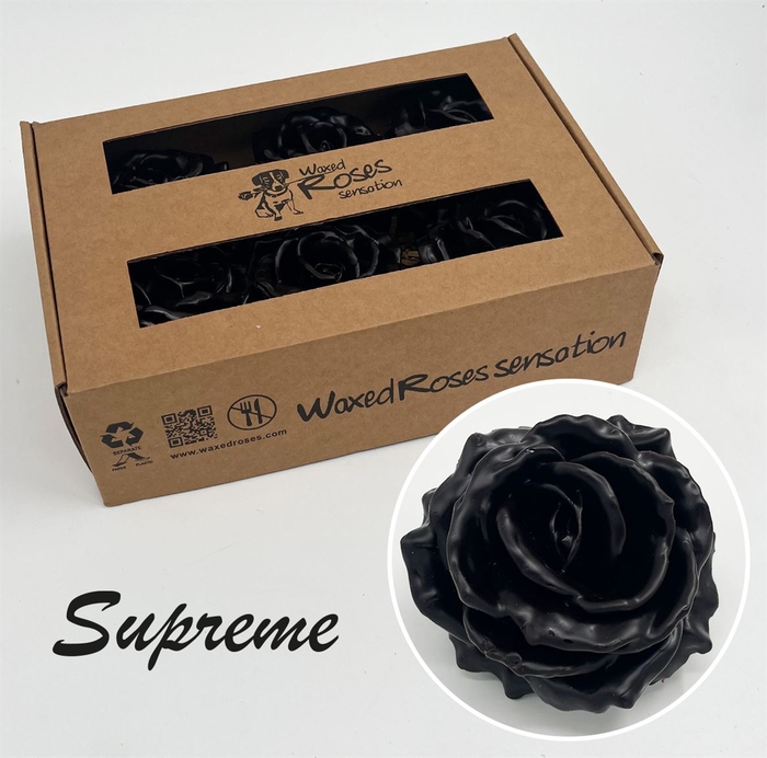 Zijde R Supreme Chocola Wx