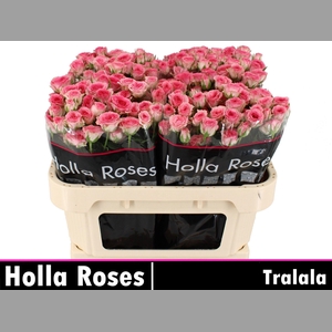 R TR TRALALA