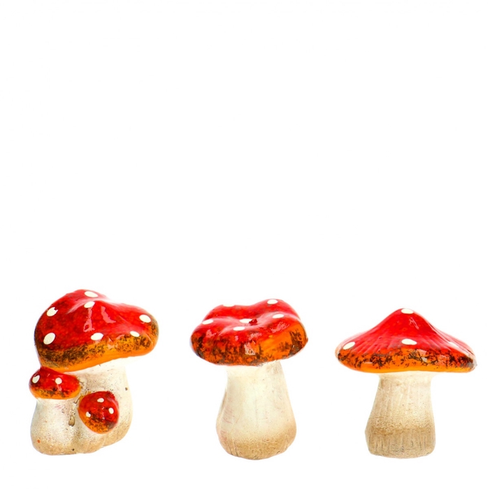 <h4>Promo Deco paddenstoel d06*07cm</h4>