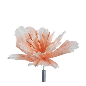 Stem Emperor Flower L30w30h40