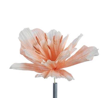 <h4>Stem Emperor Flower L30w30h40</h4>