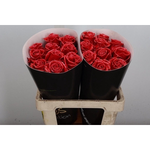 Wax-Rozen Wax Licht Rood w3