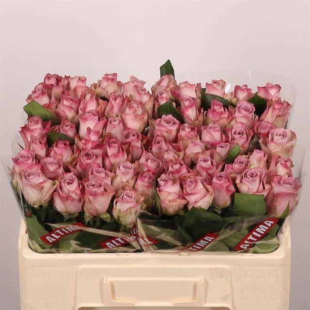 <h4>R GR MEMORY LANE!</h4>