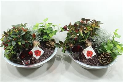 <h4>1132 Zink RED HIPP</h4>