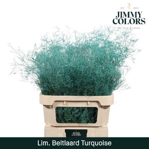 Lim Bel L90 Turquoise