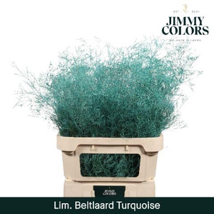Lim Bel L90 Turquoise