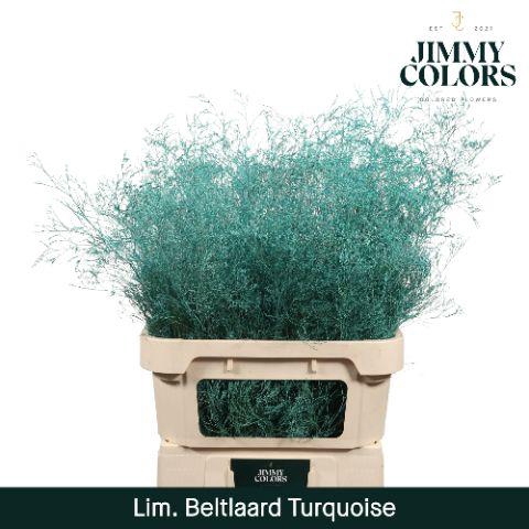<h4>Lim Bel L90 Turquoise</h4>