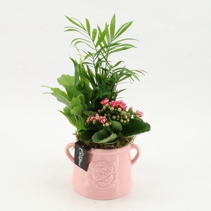 ESCR-2603RZ Essentials