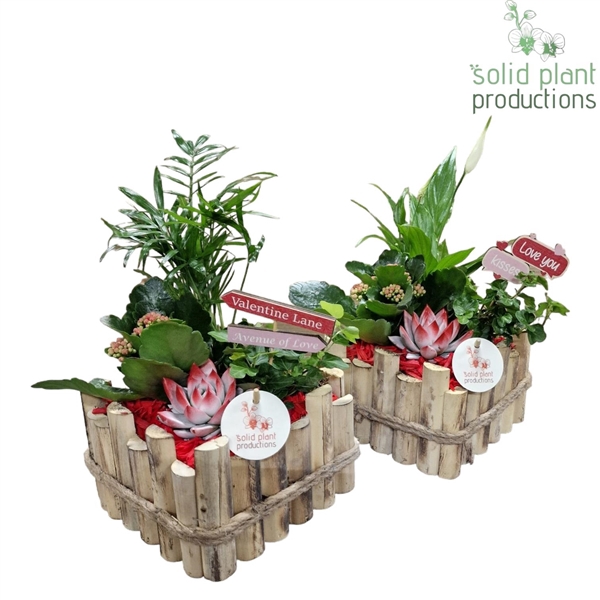 <h4>HVSCE004 Verona Small Red Mix</h4>