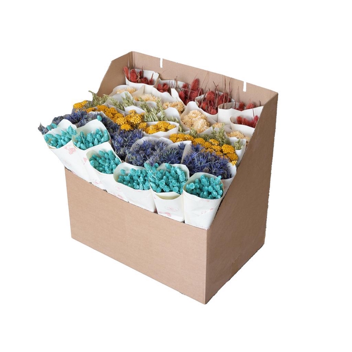<h4>Display D2-1 Spring '25 Mixed</h4>