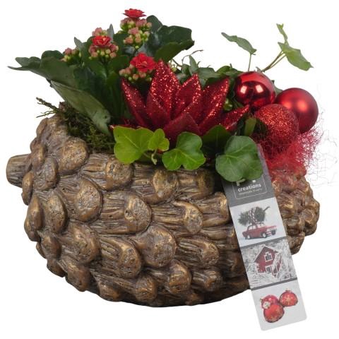 <h4>PTCHR7309 Arrangementen Kerst</h4>