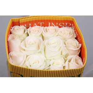 R Gr Playa Blanca Ec